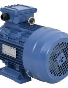 vidaXL 2 pĂłlusĂş 3 fĂˇzisĂş alumĂ­nium elektromos motor 4kW/55LE 2840 f/p