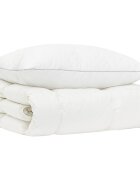vidaXL 90% lúd toll paplan szett FULDA 2 db 135 x 200 cm Téli 300 GSM