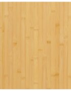 vidaXL bambusz asztallap 50 x 50 x 25 cm