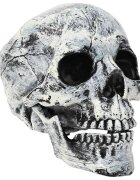 vidaXL Halloween koponya SPOOKA 2 db Fehér 12 x 15 x 17.5 cm Műanyag