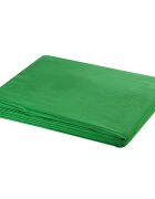 vidaXL zöld pamut háttér blueboxhoz állvány nélkül 300 x 300 cm