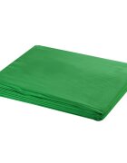 vidaXL zöld pamut háttér blueboxhoz állvány nélkül 500 x 300 cm